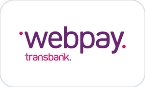 Payment Icon
